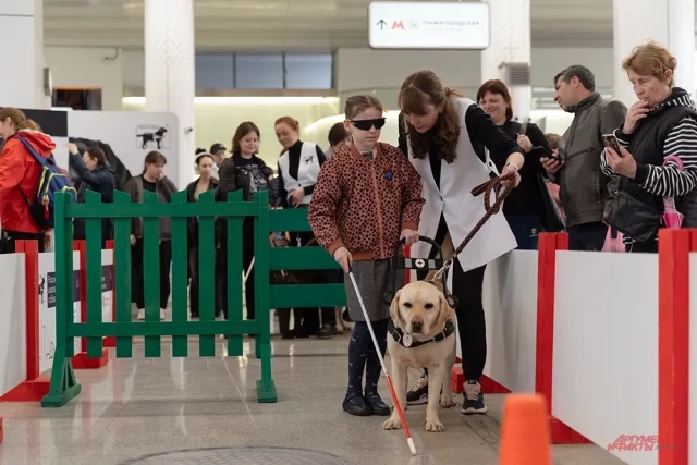 Собаки-поводыри в Московском метро