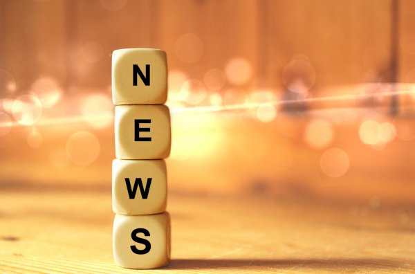 Точилин оценил работу Гусева в Динамо